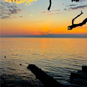 Meet your Posher, Blair